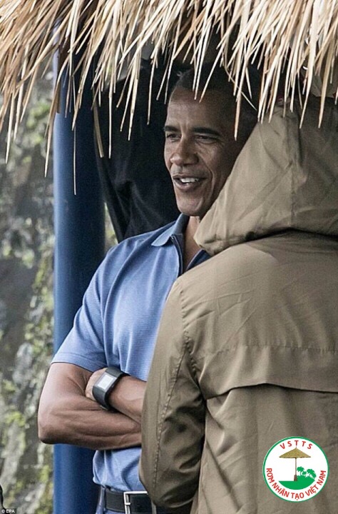 Barack Obama bên cỏ tranh mái lá nhân tạo